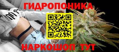 шишки Шахты