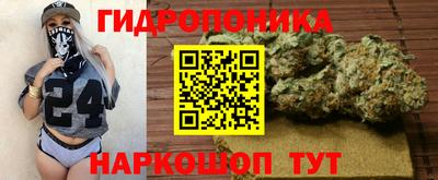 a pvp Шелехов