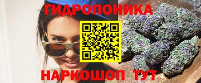 a pvp Шелехов